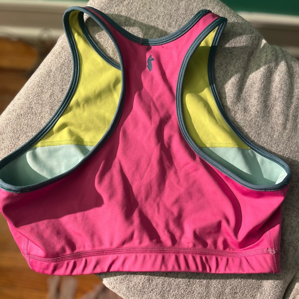 Cotopaxi Colorblock Sports bra size L